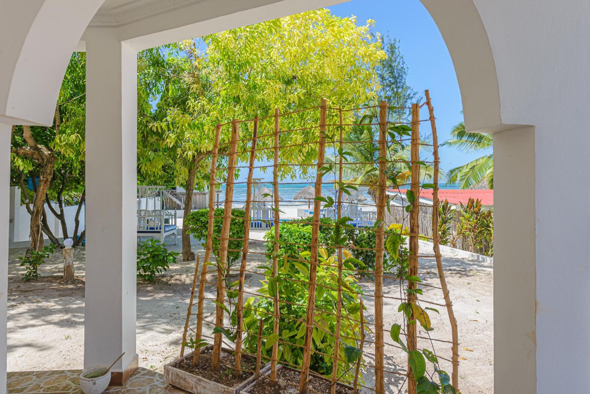 Marea Boutique Hotel Jambiani  Exteriör bild